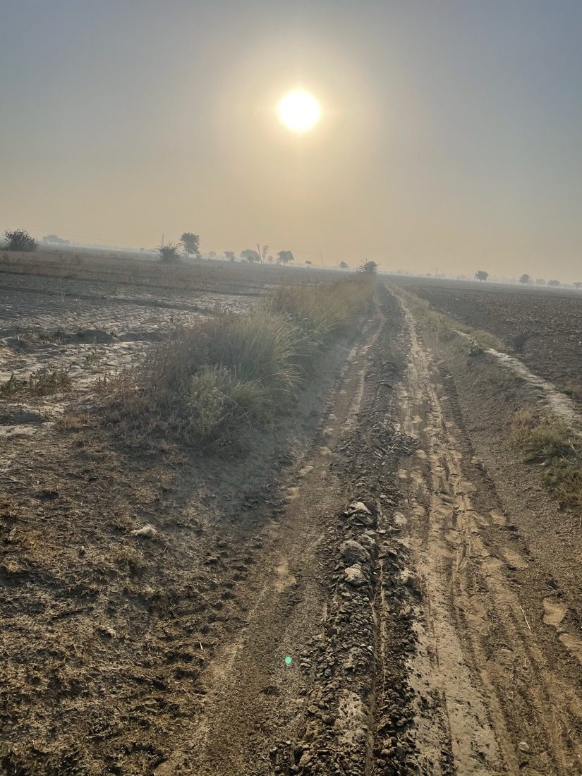 A ploughed field at Hudithal under low winter sun