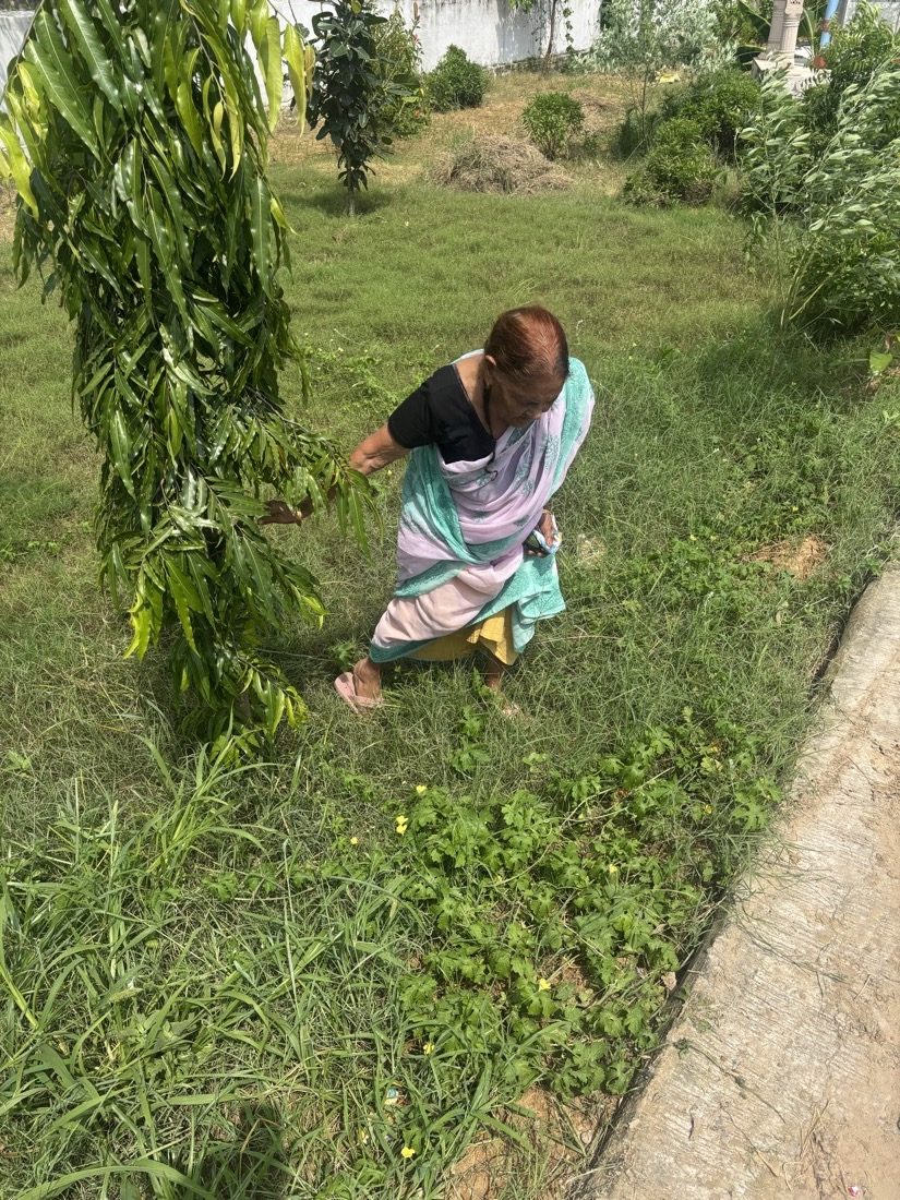 Tending vegetables and fodder crops at the farm